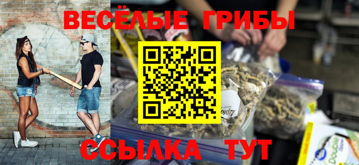 Галлюциногенные грибы Psilocybe Мирный